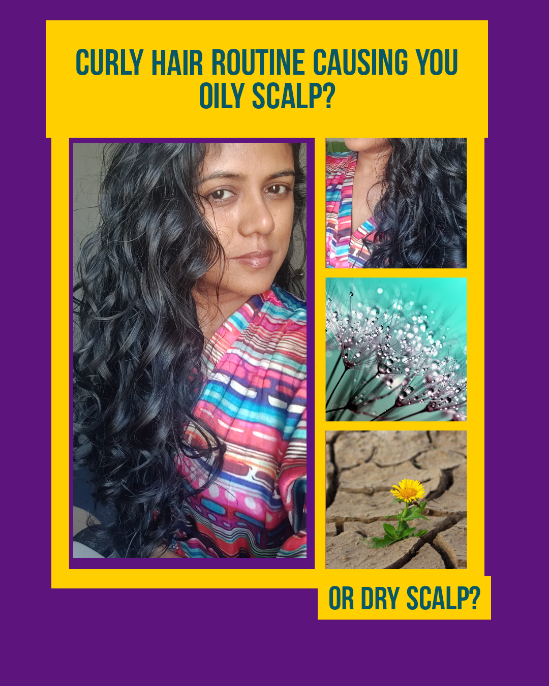 Is your Curly Hair Routine giving you an Oily scalp? Dry scalp? – Making  Waves Easy